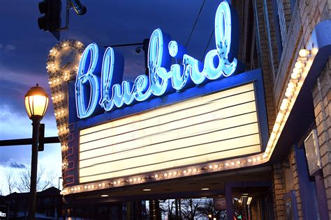 Bluebird denver - 
